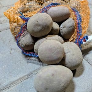 Karltoffeln (vorwiegend festkochend)